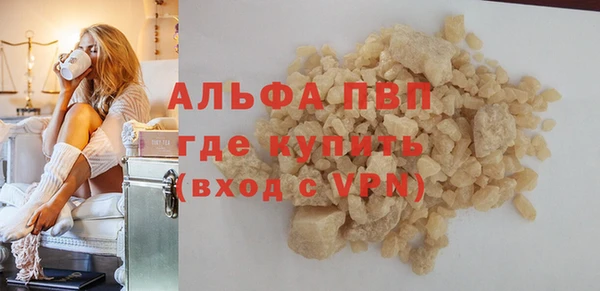 индика Алексин