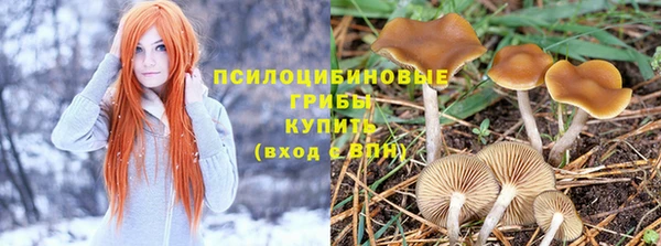 скорость Михайлов