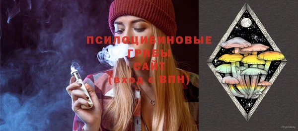 хмурый Алексеевка